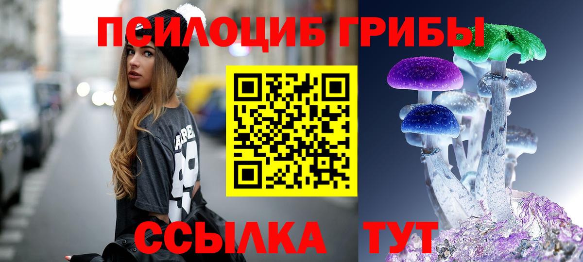 Псилоцибиновые грибы Cubensis  Вход с VPN  Севастополь  Псилоцибиновые грибы мицелий 