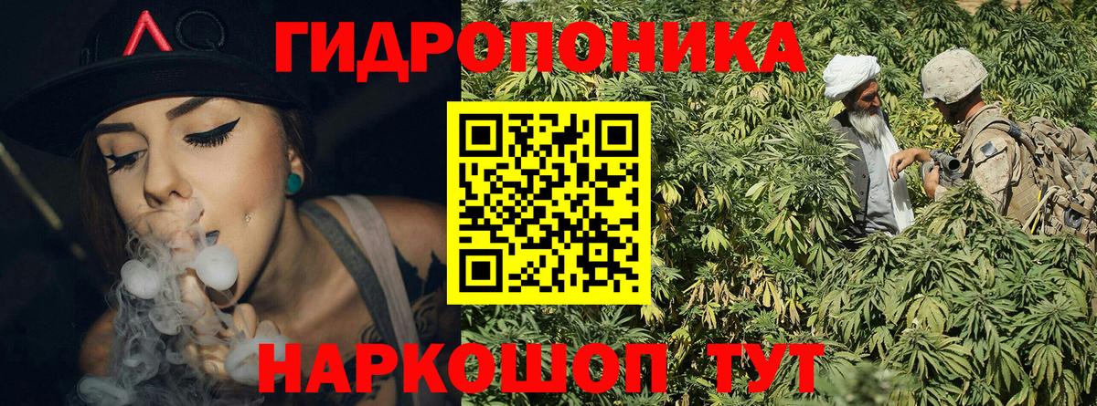 Бошки Шишки конопля Севастополь